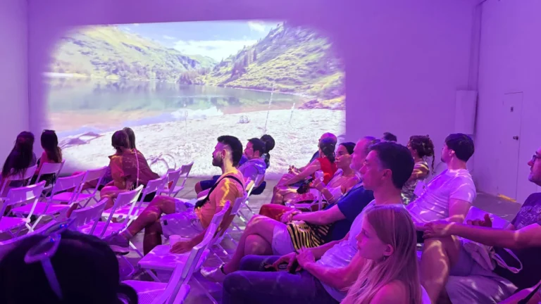 Audience seated watching the Swiss hydroelectric landscape projection, Spinning in Fluid Dreams